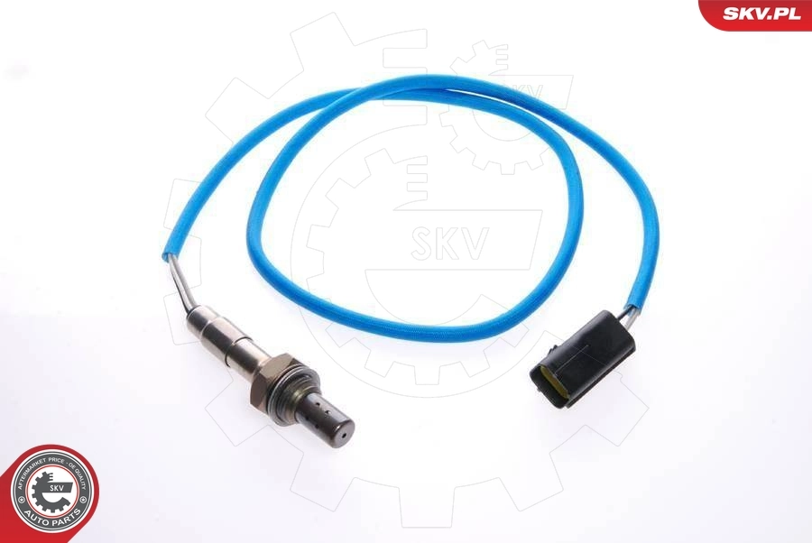 Oxygen Sensor